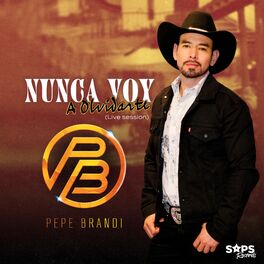 Album cover of Nunca Voy a Olvidarte (Live Session)