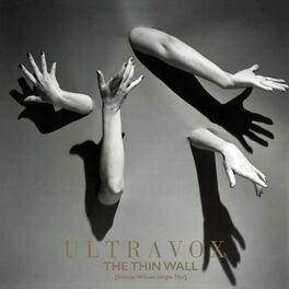 Album cover of The Thin Wall (Steven Wilson Single Mix)