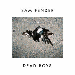 Album cover of Dead Boys