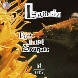 Album cover of Post-Tonal Bouquet
