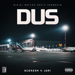 Album cover of DUS