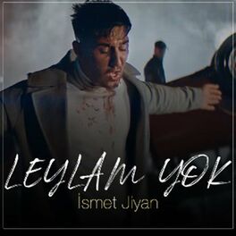 Album cover of Leylam Yok