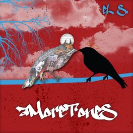 Album cover of Amoretones (2010)