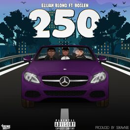 Album cover of 250 (feat. Boslen)