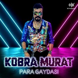 Album cover of Para Gaydası