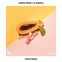 Album cover of Fractures