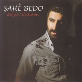 Album cover of Zerya