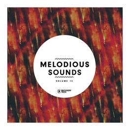 Album cover of Melodious Sounds, Vol. 13
