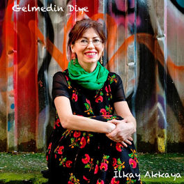 Album cover of Gelmedin Diye