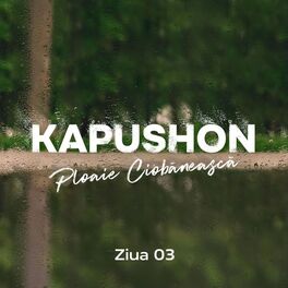 Album cover of Ploaie Ciobaneasca: Ziua 3