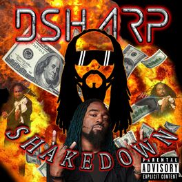 Album cover of Shakedown