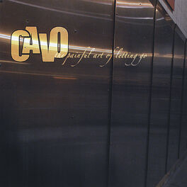 Album cover of The Painful Art of Letting Go