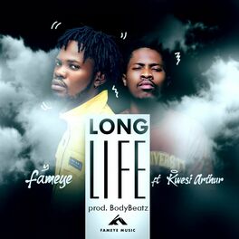 Album cover of Long Life