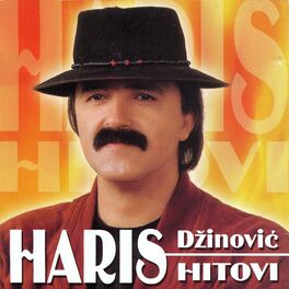 Album cover of Hitovi (2008)