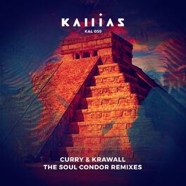 Album cover of The Soul Condor (Remixes)