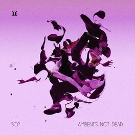 Album cover of Punk's Not Dead: Ambient Rework