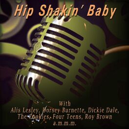 Album cover of Hip Shakin' Baby