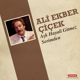 Album cover of Aşk Hayali Gitmez Serimden