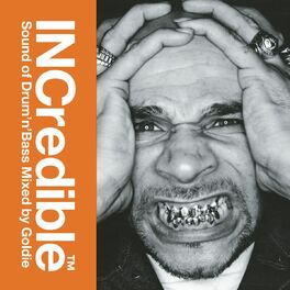 Album cover of INCredible Sound of Drum'n'Bass Mixed by Goldie