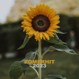 Album cover of Zomerhit 2023