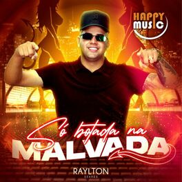 Album cover of Só Botada na Malvada