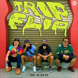 Album cover of Trip Flip
