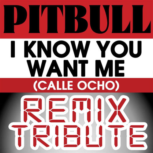 I know you want me (calle ocho) 2009 pitbull. Pitbull альбомы. Pitbull i know. Pitbull i know you want me девушки из клипа. Pitbull starring in rebelution.
