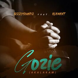 Album cover of Gozie Akalakam