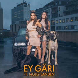 Album cover of Ey Gäri