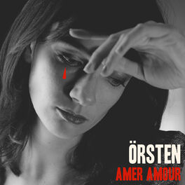 Album cover of Amer amour