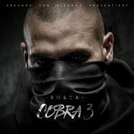 Album cover of Cobra 3
