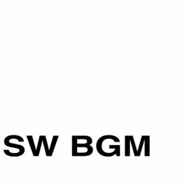 Album cover of SW BGM No. 1