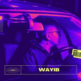 Album cover of WAYIB
