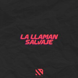 Album cover of La Llaman Salvaje (Remix)