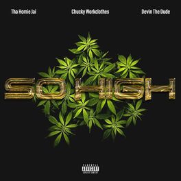 Album cover of So High (feat. Devin The Dude)