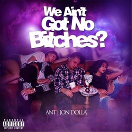 Album cover of We Aint Got No Bitches?