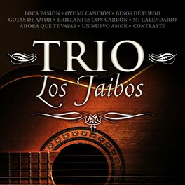 Album cover of Trio Los Jaibos