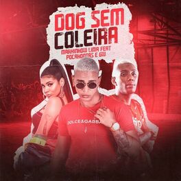 Album cover of Dog Sem Coleira