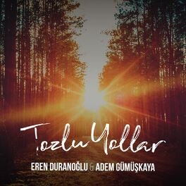 Album cover of Tozlu Yollar