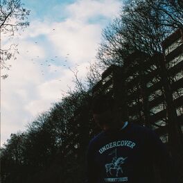 Album cover of Sicher