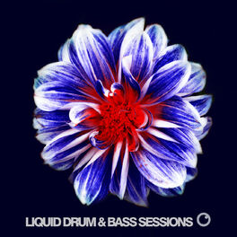 Album cover of Liquid Drum & Bass Sessions 2019 Vol 6