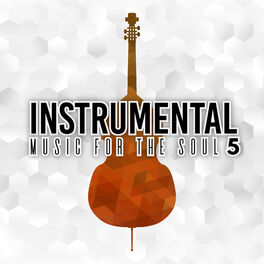 Album cover of Instrumental Music for the Soul-5