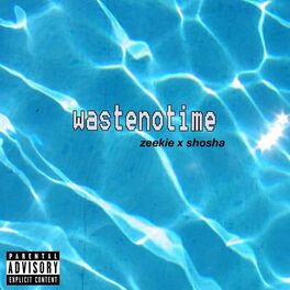 Album cover of Wastenotime (feat. Shosha)