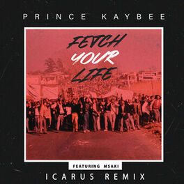Album cover of Fetch Your Life (Icarus Remix)