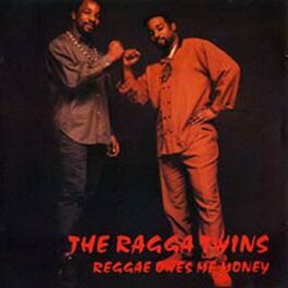 Album cover of Reggae Owes Me Money