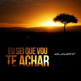 Album cover of Eu Sei Que Vou Te Achar