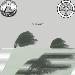 Album cover of Gray/Grey