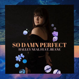 Album cover of So Damn Perfect (feat. Beane)