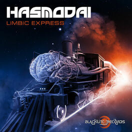 Album cover of Limbic Express