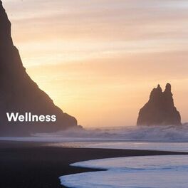 Album cover of Wellness